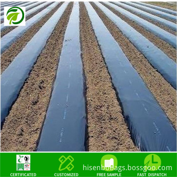 Wholesale Vegetable Shading Black Plastic Film Cross-Border PE Polyethylene Agricultural Plastic Film